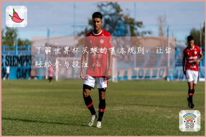 了解世界杯买球的基本规则，让你轻松参与投注