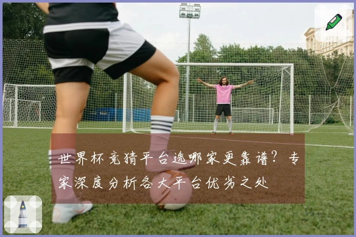 世界杯竞猜平台选哪家更靠谱？专家深度分析各大平台优劣之处