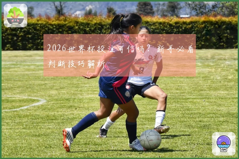 2026世界杯投注可信吗？新手必看判断技巧解析