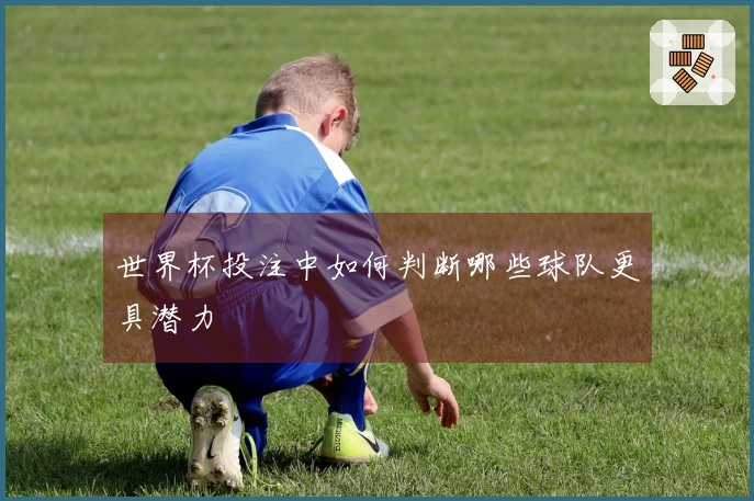 世界杯投注中如何判断哪些球队更具潜力